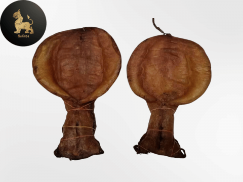 กระเพาะปลาเก่า